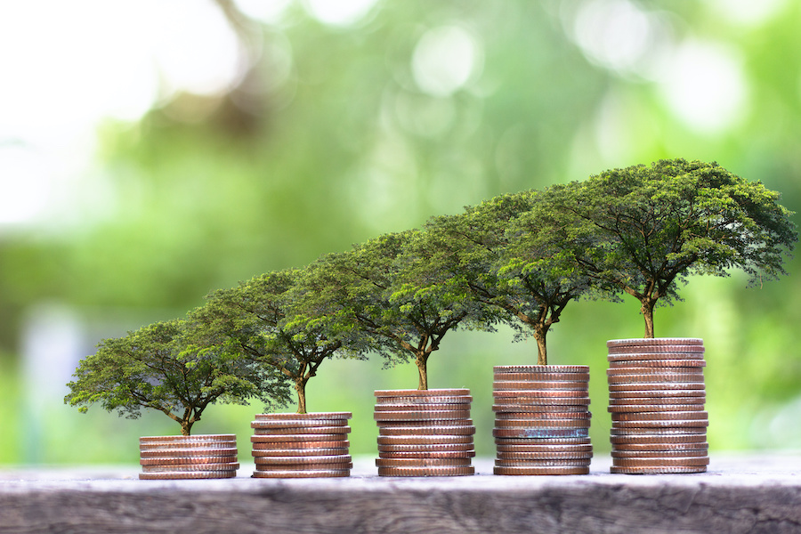 What is Sustainable Finance?